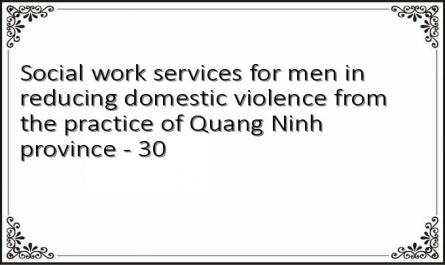 Social work services for men in reducing domestic violence from the practice of Quang Ninh province - 30