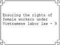 Ensuring the rights of female workers under Vietnamese labor law - 9