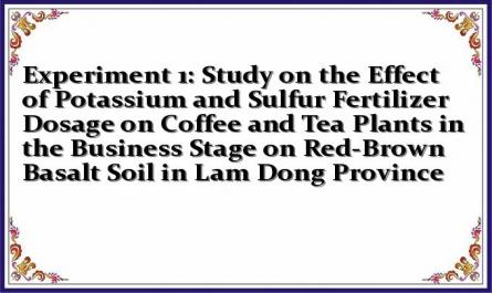 Experiment 1: Study on the Effect of Potassium and Sulfur Fertilizer Dosage on Coffee and Tea Plants in the Business Stage on Red-Brown Basalt Soil in Lam Dong Province