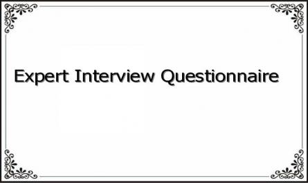 Expert Interview Questionnaire