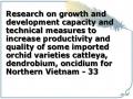 Research on growth and development capacity and technical measures to increase productivity and quality of some imported orchid varieties cattleya, dendrobium, oncidium for Northern Vietnam - 33