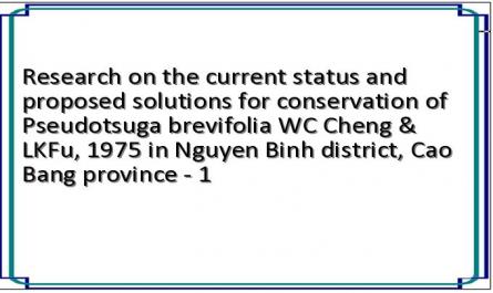Research on the current status and proposed solutions for conservation of Pseudotsuga brevifolia WC Cheng & LKFu, 1975 in Nguyen Binh district, Cao Bang province - 1