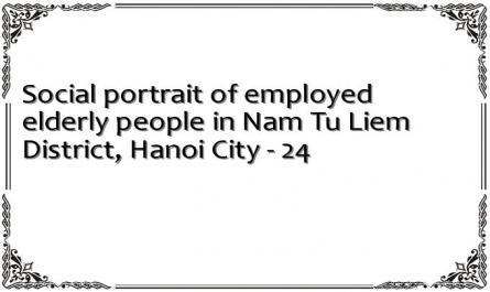 Social portrait of employed elderly people in Nam Tu Liem District, Hanoi City - 24