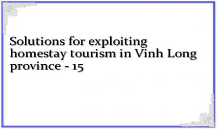 Solutions for exploiting homestay tourism in Vinh Long province - 15