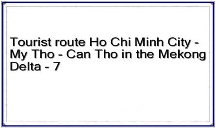 Tourist route Ho Chi Minh City - My Tho - Can Tho in the Mekong Delta - 7