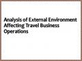 Analysis of External Environment Affecting Travel Business Operations