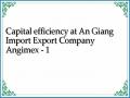 Capital efficiency at An Giang Import Export Company Angimex - 1