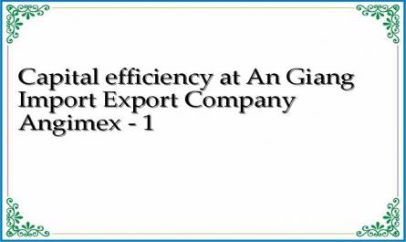 Capital efficiency at An Giang Import Export Company Angimex - 1