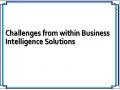 Challenges from within Business Intelligence Solutions