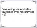 Developing sea and island tourism in Phu Yen province - 17