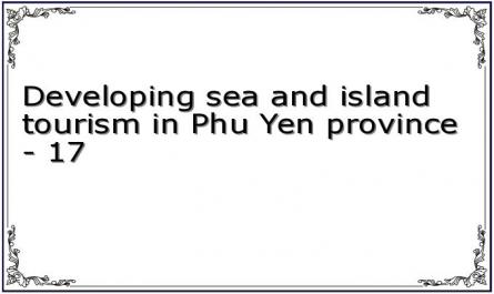 Developing sea and island tourism in Phu Yen province - 17