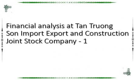 Financial analysis at Tan Truong Son Import Export and Construction Joint Stock Company - 1