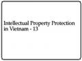 Intellectual Property Protection in Vietnam - 13