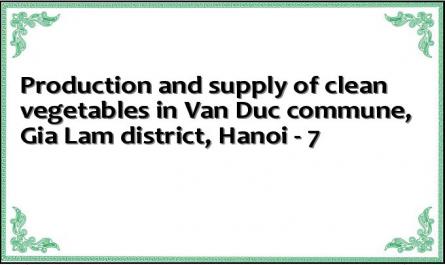 Production and supply of clean vegetables in Van Duc commune, Gia Lam district, Hanoi - 7