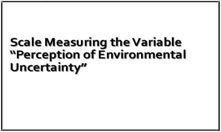 Scale Measuring the Variable “Perception of Environmental Uncertainty”