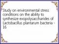 Study on environmental stress conditions on the ability to synthesize exopolysaccharides of Lactobacillus plantarum bacteria - 16