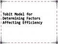 Tobit Model for Determining Factors Affecting Efficiency
