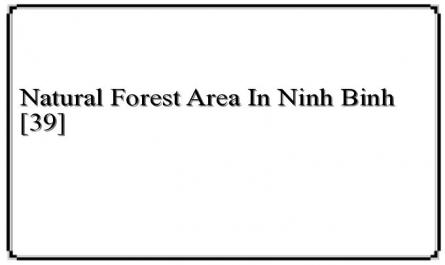 Natural Forest Area In Ninh Binh [39]