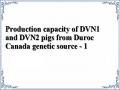 Production capacity of DVN1 and DVN2 pigs from Duroc Canada genetic source - 1