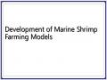 Development of Marine Shrimp Farming Models