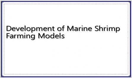 Development of Marine Shrimp Farming Models