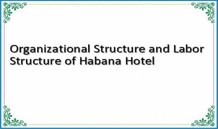 Organizational Structure and Labor Structure of Habana Hotel