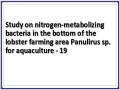 Study on nitrogen-metabolizing bacteria in the bottom of the lobster farming area Panulirus sp. for aquaculture - 19