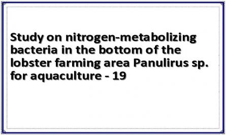 Study on nitrogen-metabolizing bacteria in the bottom of the lobster farming area Panulirus sp. for aquaculture - 19