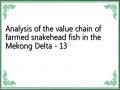 Analysis of the value chain of farmed snakehead fish in the Mekong Delta - 13