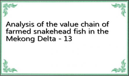Analysis of the value chain of farmed snakehead fish in the Mekong Delta - 13