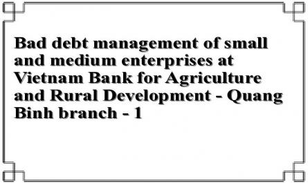 Bad debt management of small and medium enterprises at Vietnam Bank for Agriculture and Rural Development - Quang Binh branch - 1