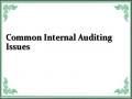 Common Internal Auditing Issues