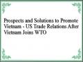 Prospects and Solutions to Promote Vietnam - US Trade Relations After Vietnam Joins WTO
