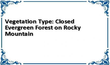 Vegetation Type: Closed Evergreen Forest on Rocky Mountain