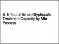 B. Effect of Srt on Glyphosate Treatment Capacity by Mbr Process