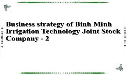 Business strategy of Binh Minh Irrigation Technology Joint Stock Company - 2