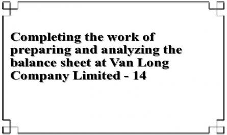 Completing the work of preparing and analyzing the balance sheet at Van Long Company Limited - 14