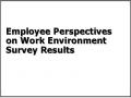 Employee Perspectives on Work Environment Survey Results
