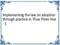 Implementing the law on adoption through practice in Thua Thien Hue - 1