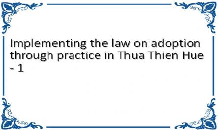Implementing the law on adoption through practice in Thua Thien Hue - 1