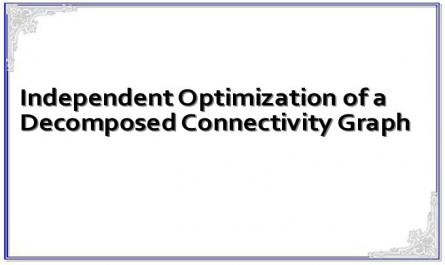 Independent Optimization of a Decomposed Connectivity Graph