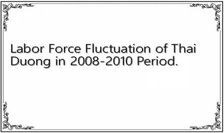 Labor Force Fluctuation of Thai Duong in 2008-2010 Period.