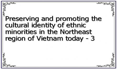 Preserving and promoting the cultural identity of ethnic minorities in the Northeast region of Vietnam today - 3