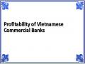 Profitability of Vietnamese Commercial Banks