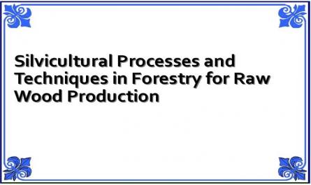 Silvicultural Processes and Techniques in Forestry for Raw Wood Production