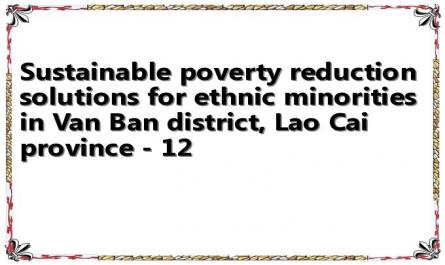 Sustainable poverty reduction solutions for ethnic minorities in Van Ban district, Lao Cai province - 12