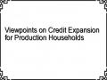 Viewpoints on Credit Expansion for Production Households