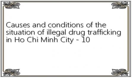 Causes and conditions of the situation of illegal drug trafficking in Ho Chi Minh City - 10