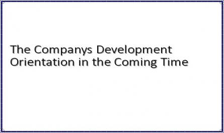 The Companys Development Orientation in the Coming Time