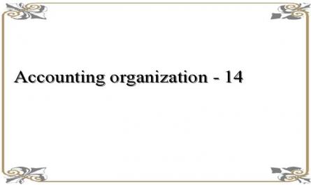 Accounting organization - 14